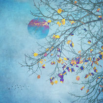 blue full moon by Franziska Rullert