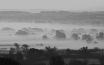Mist on the Blackmore Vale by andrew  Bowkett