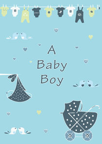 A Baby Boy  by Caroline Allen