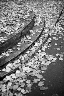 Fallen leaves on stairs