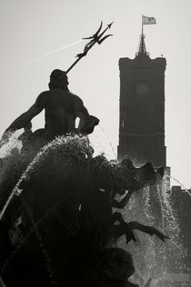 Neptune Fountain and Rotes Rathaus tower by RicardMN Photography