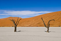 2 Dead Acacia Trees at Dead Vlei von Russell Bevan Photography