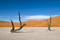 Dead Trees at Dead Vlei by Russell Bevan Photography