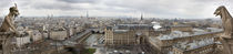 Paris Chimeras by JEAN-MARC GIBOUX