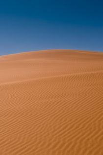 Red Sand Dune, Sossusvlei by Russell Bevan Photography