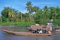 Mekong Delta - Vietnam by captainsilva