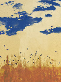 birds in a field by jose Manuel del Solar