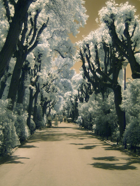Infrared-alley