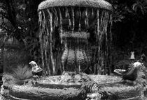 Fountain by RicardMN Photography