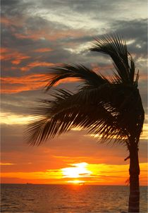 Wunderschöner Sonnenuntergang am Golf von Mexiko by Mellieha Zacharias