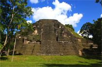 Schöne Maya Pyramide in Tikal, Guatemala von Mellieha Zacharias