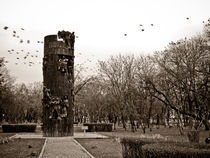 tower with birds by Mihail Leonard Bodor