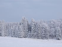 winter by Mihail Leonard Bodor