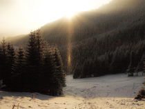 winter sun by Mihail Leonard Bodor