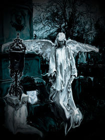 fallen angel by Mihail Leonard Bodor