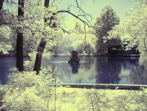 lake in infrared von Mihail Leonard Bodor