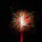 Fireworks-boquet-9810