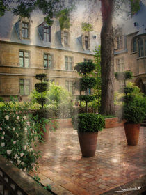 jardin Parisien by Roland  Vanoverberghe