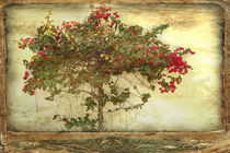 Tree of Passion von Rozalia Toth