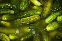 Pickles by John Greim