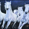Night-with-white-horses