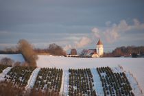 Winter in Nørre Bjert, Denmark von Stas Kalianov