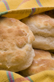 Hot Biscuits in a Blanket by Tom Warner