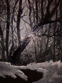 Verschneiter Wald  von Heinrich Reisige