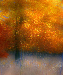 Herbstgold - Autumn Gold von mimulux