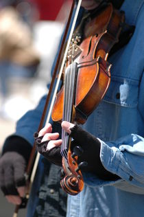 Fiddler by Tom Warner