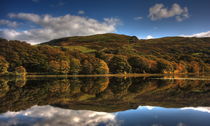 Autumnal Reflections by Emma Wright