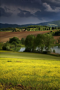 Tuscan Fields von Ken Crook
