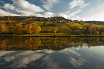 Mosel River by Perry Dolmans