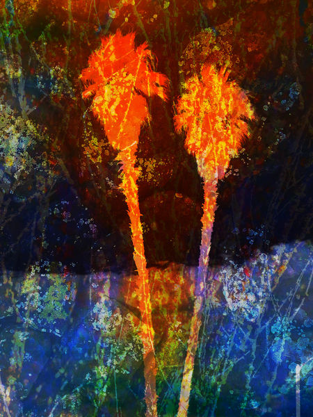 Abstractpalms