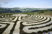 Labyrinth in Hogsback, South Africa von Neil Overy