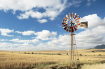 Wind pump in the Overberg, South Africa von Neil Overy