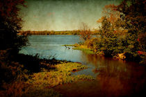 Illinois River by Milena Ilieva