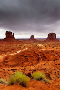 Monument Valley by David Pinzer