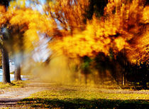  autumn by Julia  Nekrasova