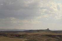 Tel Nagila in the Northern Negev by Hanan Isachar