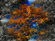 Herbstbaum von Cornelia Greinke