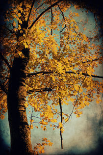 Herbstzeit  von AD DESIGN Photo + PhotoArt