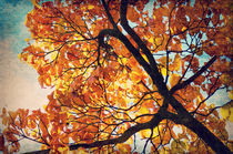 Abstrakte Herbstimpression von AD DESIGN Photo + PhotoArt
