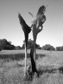 Wood Scuplture by Robert Ball