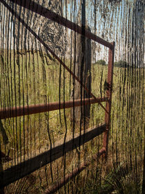 Rusty Gate by Robert Ball