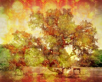 Old Oak by Robert Ball