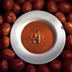 Tomato-soup
