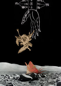 The falling Angel by João Tinoco