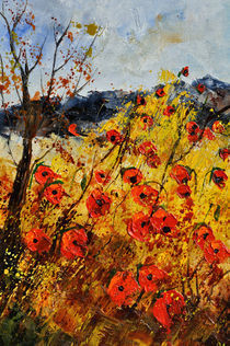 Red poppies 4526 by pol ledent