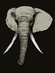 Brushed Elephant von Mikael Biström